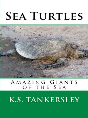 cover image of Sea Turtles